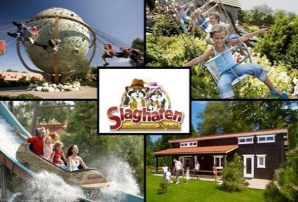 Camping De Pallegarste Chalet 119 Marienberg المظهر الخارجي الصورة